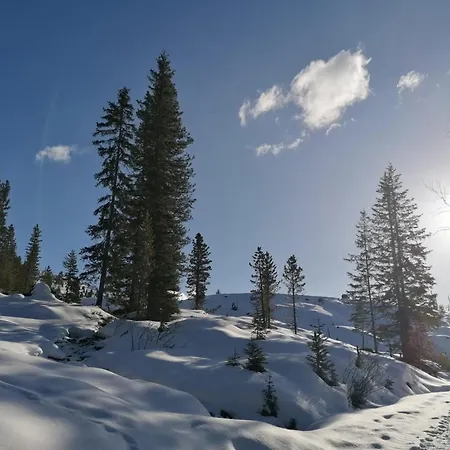 Hollaus Aschau Im Zillertal