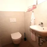 Hollaus Apartman Aschau Im Zillertal